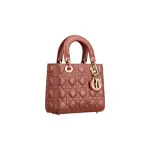 Small Lady Dior My Abcdior Bag