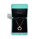 T1 Circle Pendant