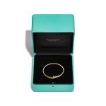 T1 Narrow Hinged Bangle