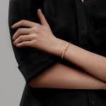 T1 Narrow Hinged Bangle