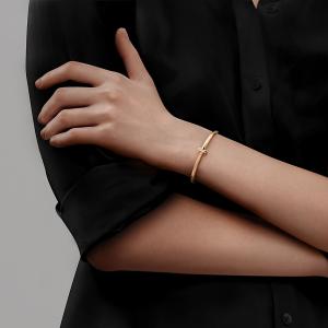 T1 Narrow Hinged Bangle